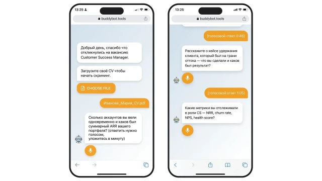 AI-бот задаёт голосовые вопросы кандидату CS Manager